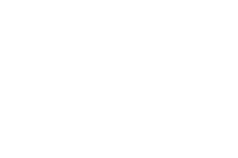 Ron Longo Official Selection New York Independent Cinema Awards 2021