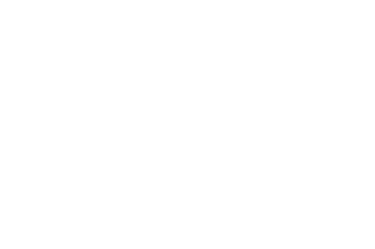 ron longo official selection LA Sun Film Fest