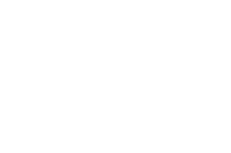 OFFICIAL SELECTION - Las Vegas Independent Film Festival - 2021